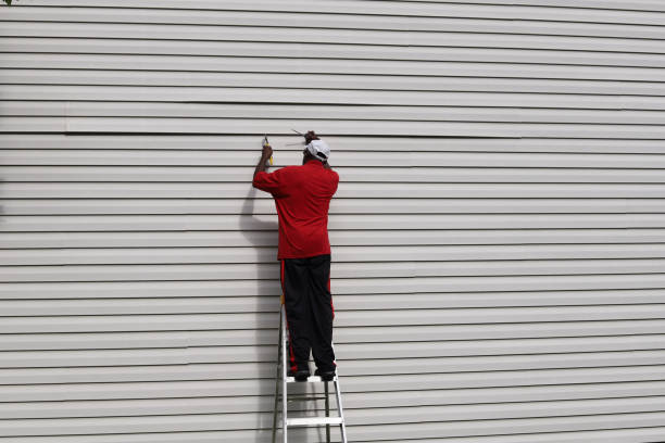Best Insulated Siding Installation  in Las Cruces, NM